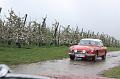 MG Bloesemrit op 24-4-2016 org. Jos&Marie-lou  (233)